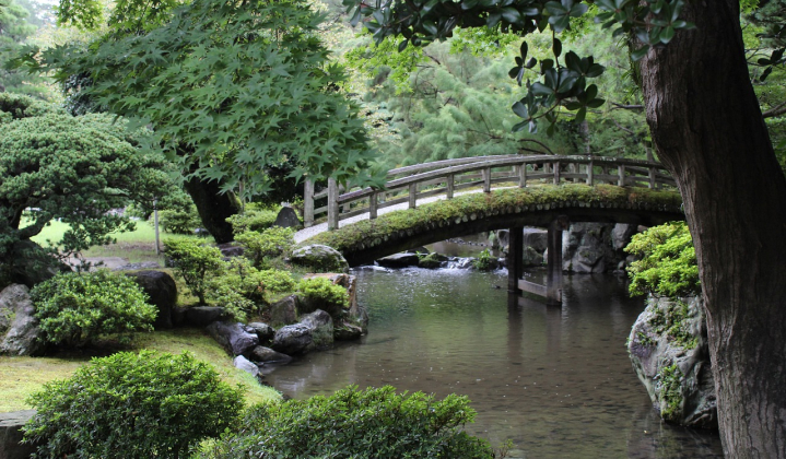 explore-a-traditional-garden